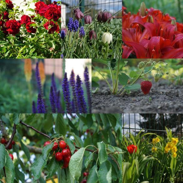 Gartenblick Trebbin Экстерьер фото