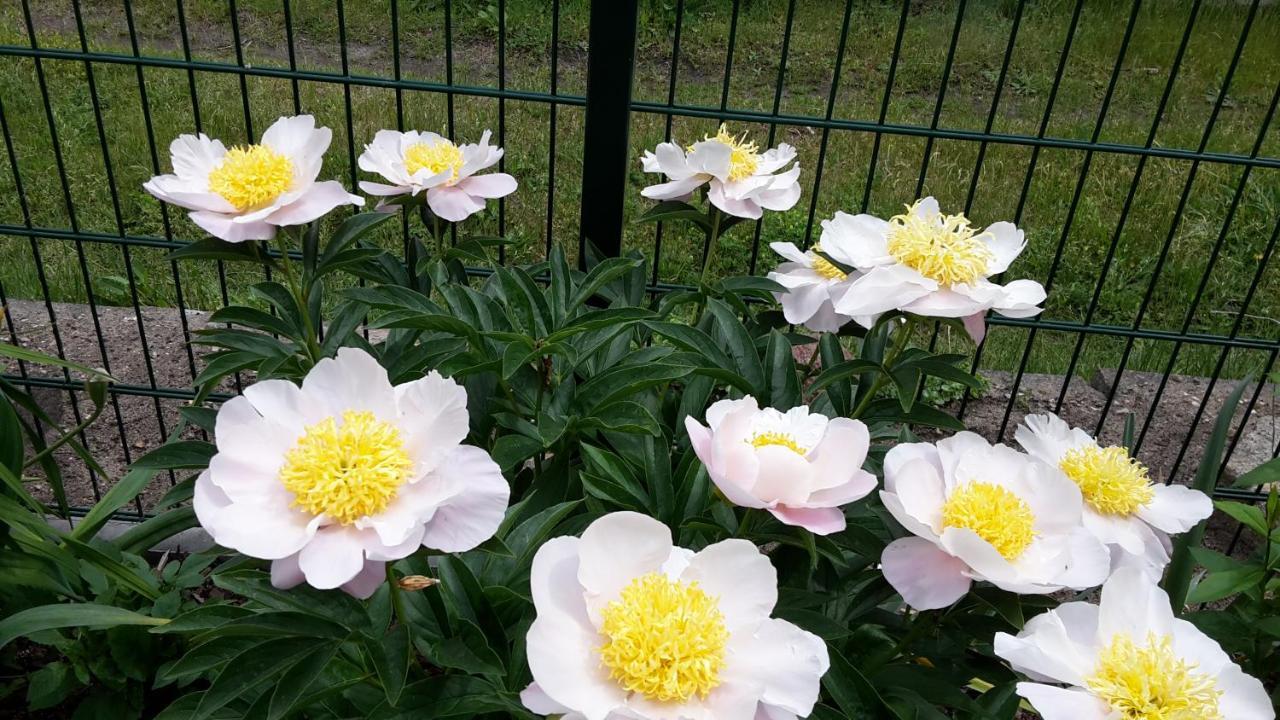 Gartenblick Trebbin Экстерьер фото